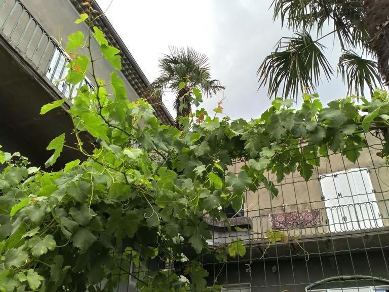 بريفاس La Maison Jaffran, Suite En Ville المظهر الخارجي الصورة