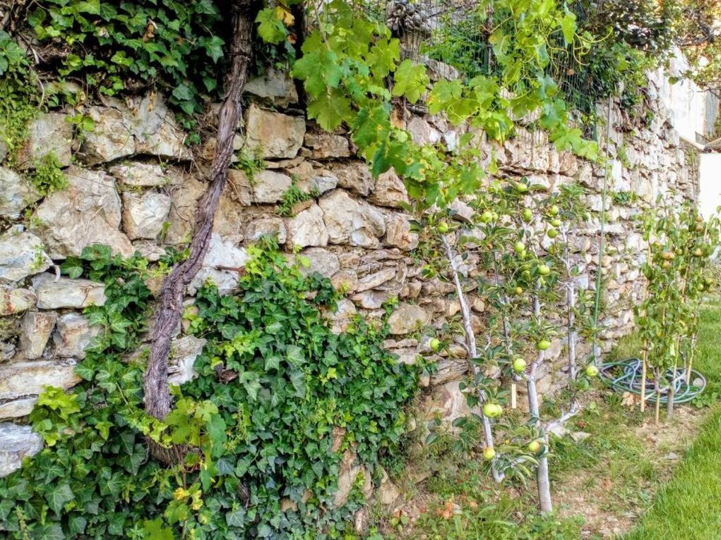 بريفاس La Maison Jaffran, Suite En Ville المظهر الخارجي الصورة